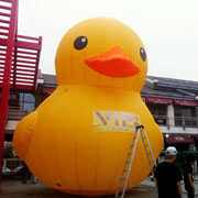 inflatable duck advertising
